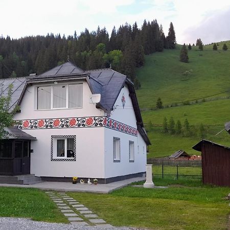 Casa Dumitru Si Elena Ciocanesti Bucovina Экстерьер фото