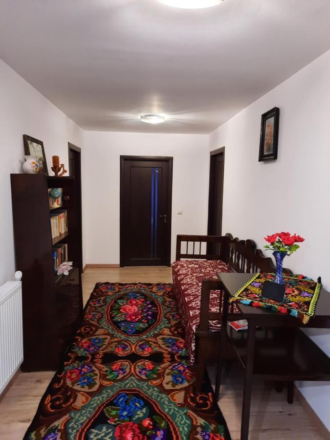 Casa Dumitru Si Elena Ciocanesti Bucovina Экстерьер фото