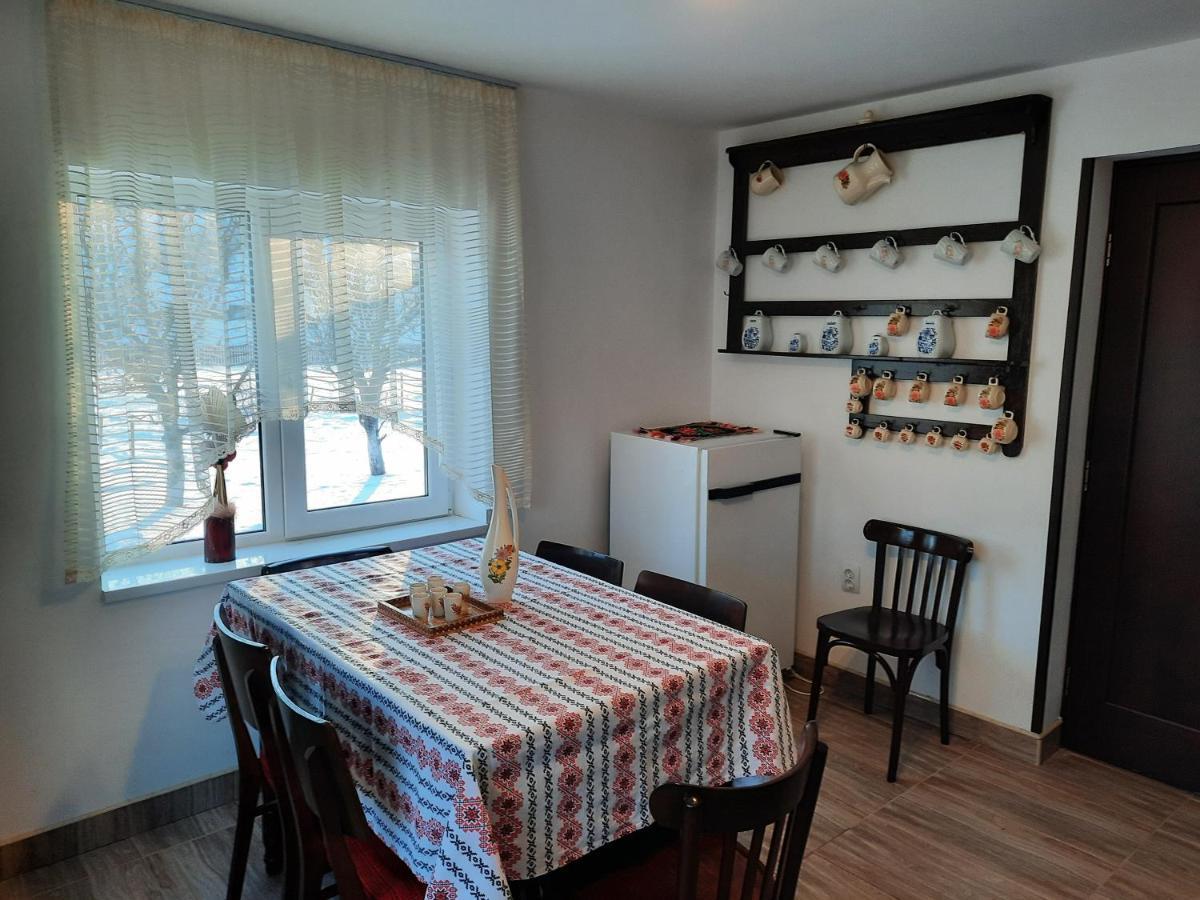 Casa Dumitru Si Elena Ciocanesti Bucovina Экстерьер фото