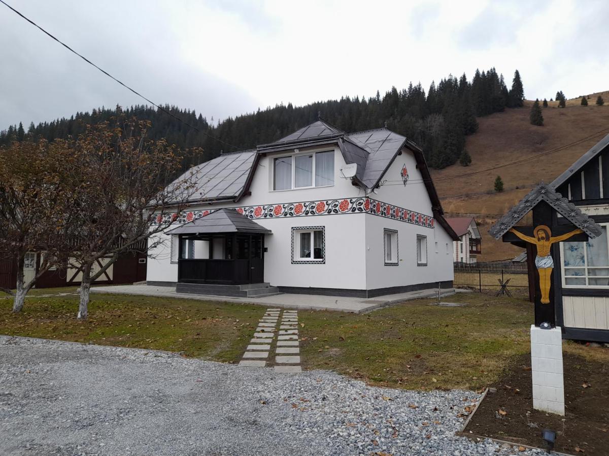 Casa Dumitru Si Elena Ciocanesti Bucovina Экстерьер фото