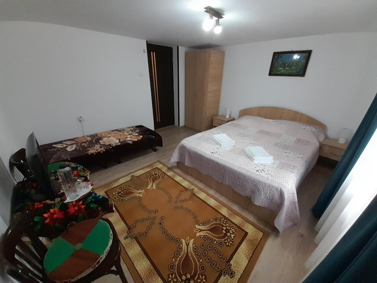 Casa Dumitru Si Elena Ciocanesti Bucovina Экстерьер фото