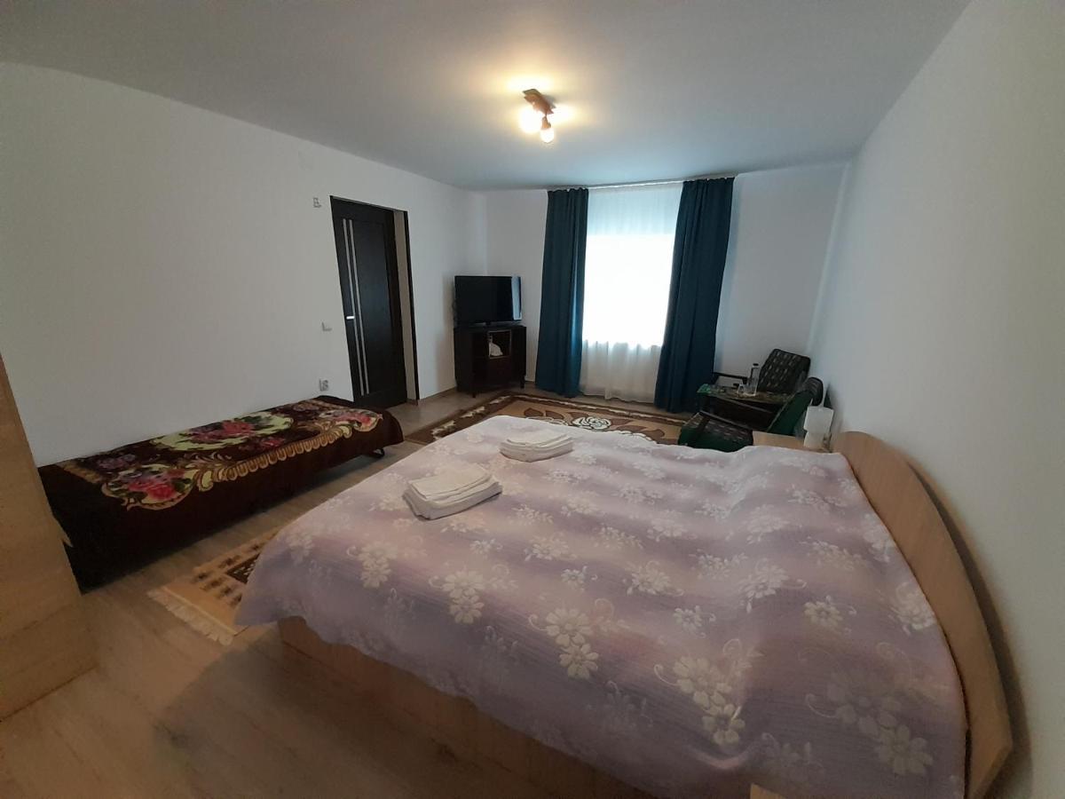 Casa Dumitru Si Elena Ciocanesti Bucovina Экстерьер фото