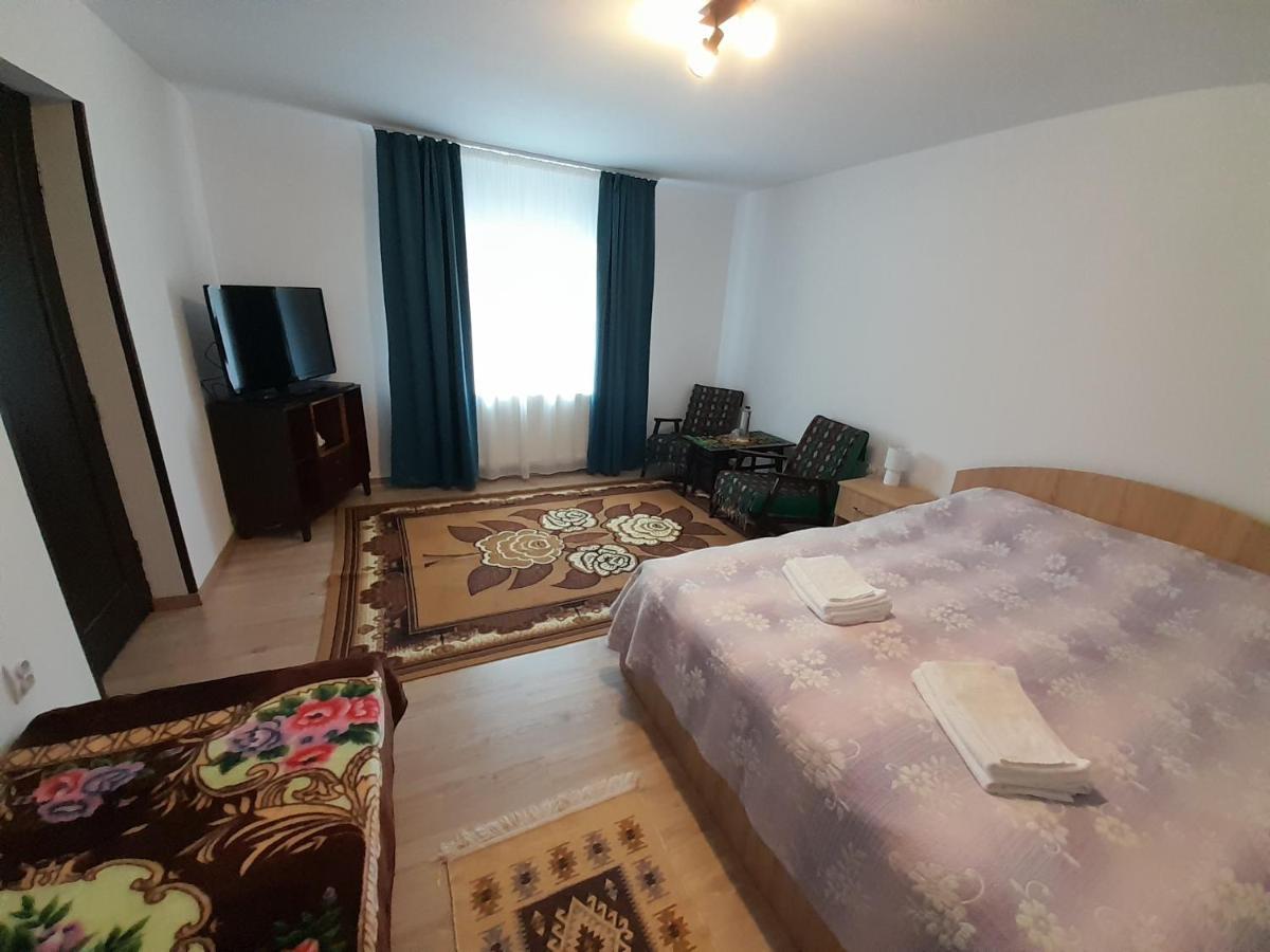 Casa Dumitru Si Elena Ciocanesti Bucovina Экстерьер фото