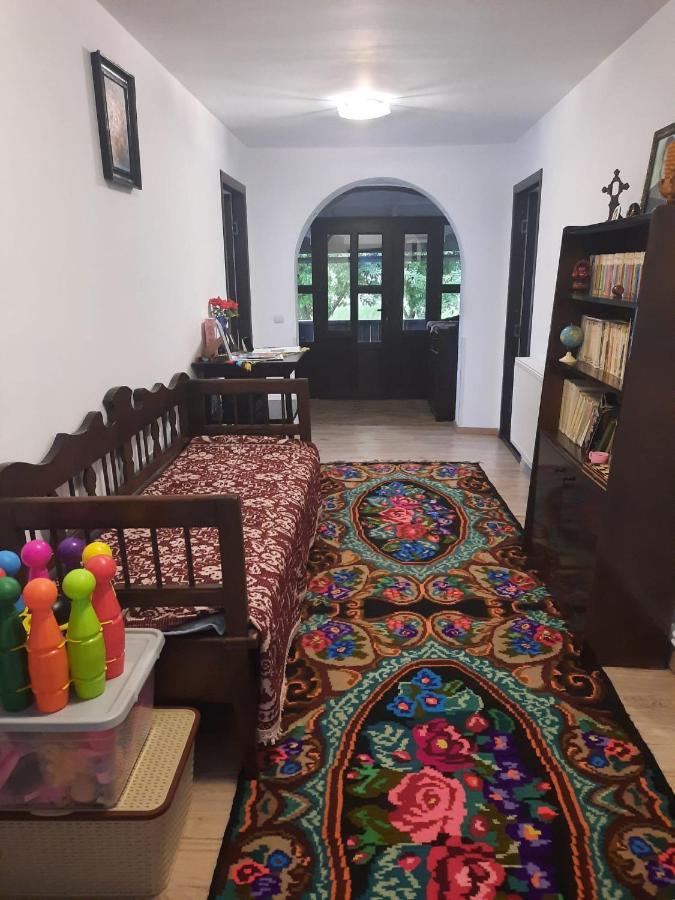 Casa Dumitru Si Elena Ciocanesti Bucovina Экстерьер фото
