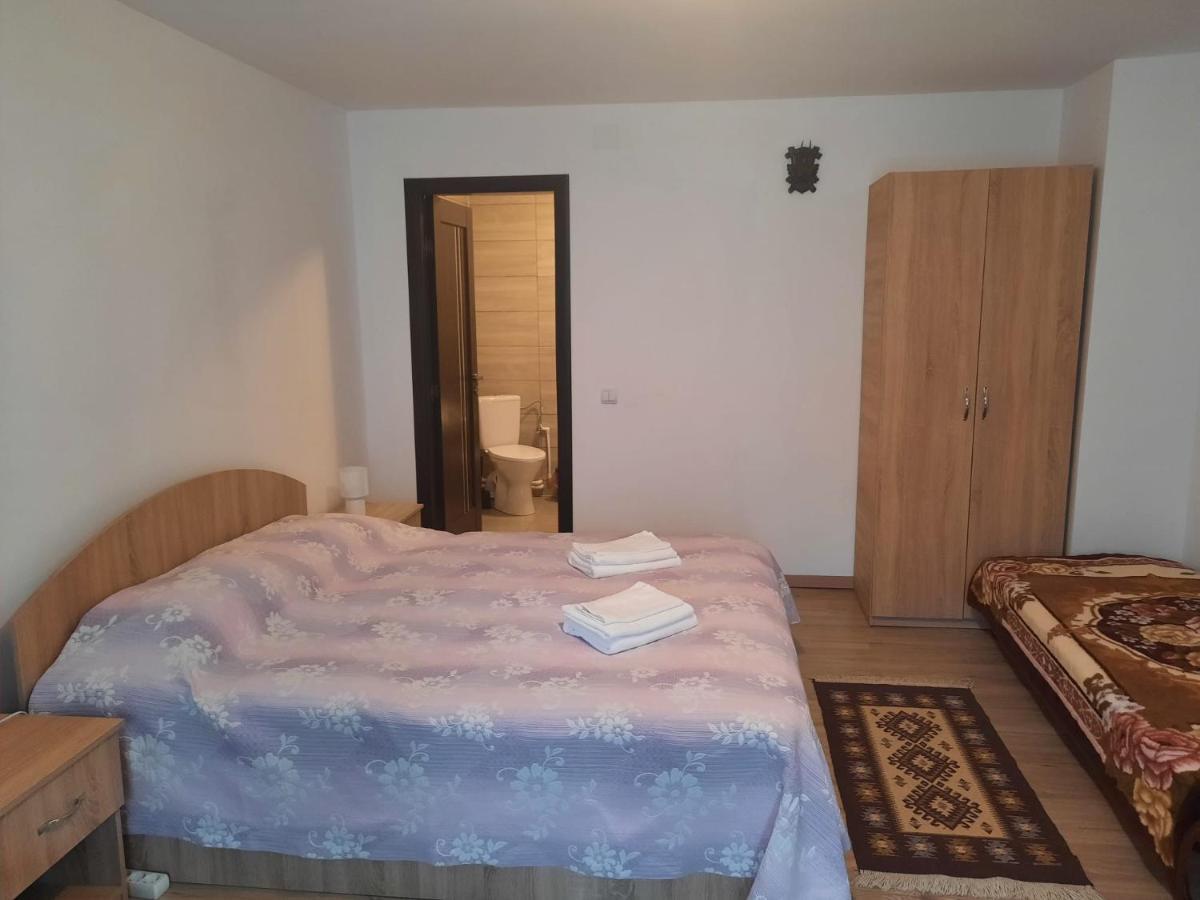 Casa Dumitru Si Elena Ciocanesti Bucovina Экстерьер фото