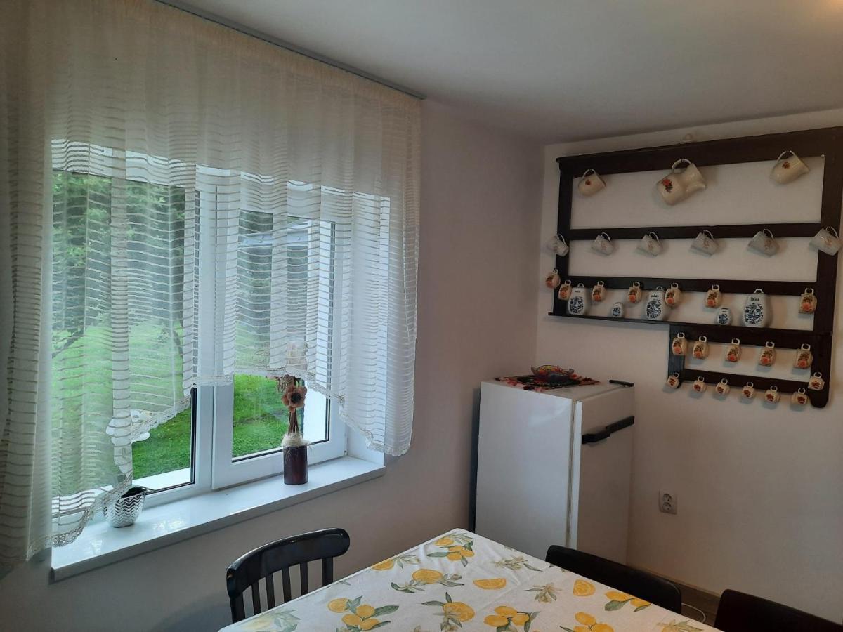 Casa Dumitru Si Elena Ciocanesti Bucovina Экстерьер фото