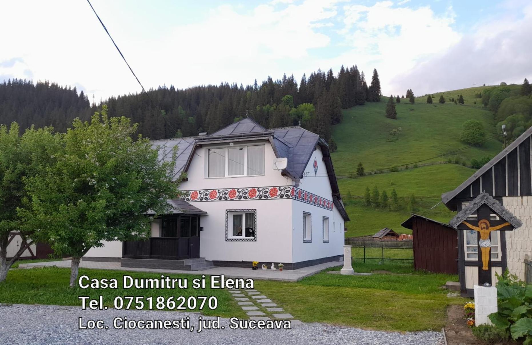 Casa Dumitru Si Elena Ciocanesti Bucovina Номер фото